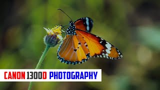 Canon 1300D Photography | sample images | @artistmrc