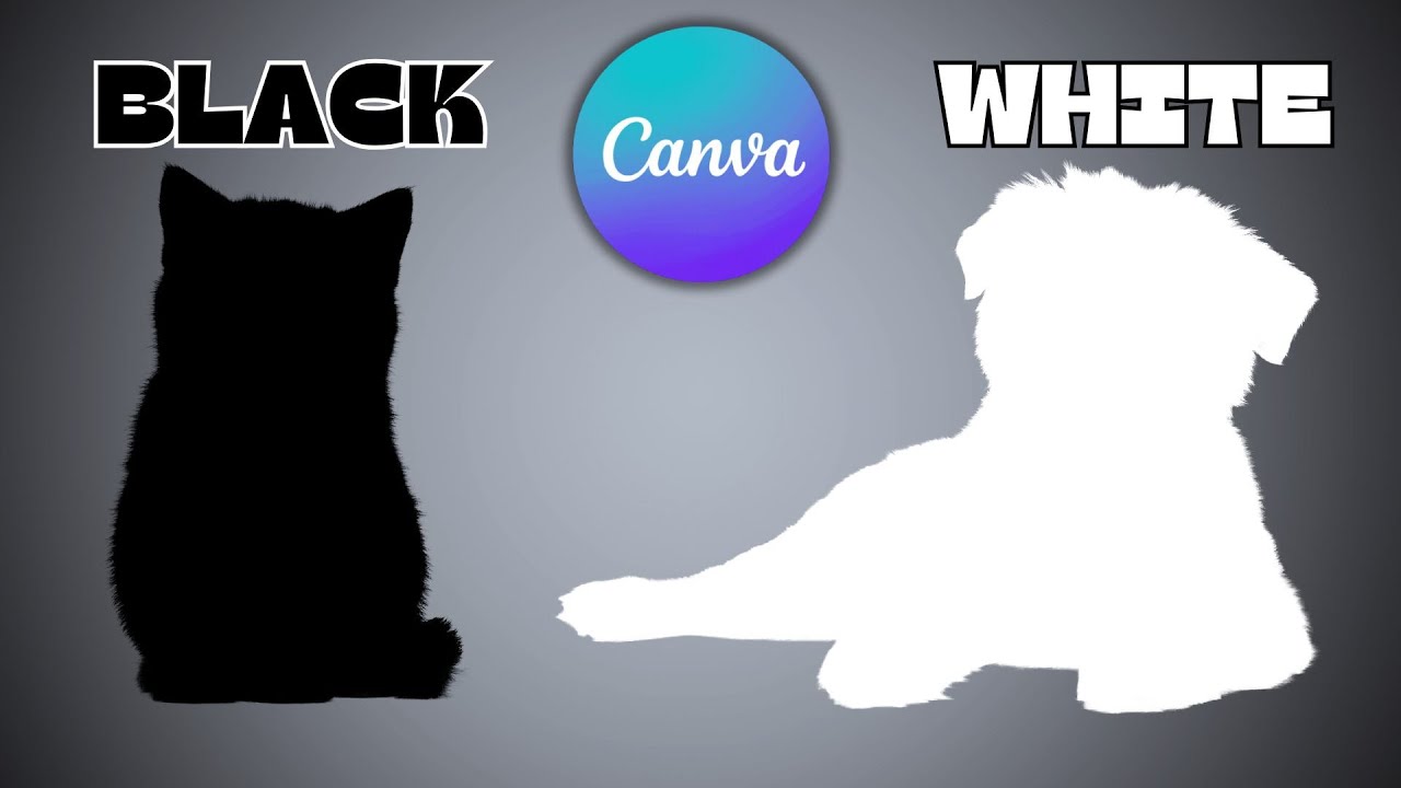 How to make any photo black or white in canva step by step youtube