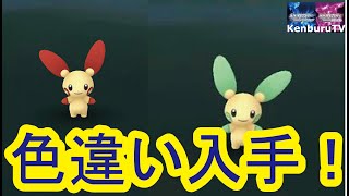 ポケモンシャイニングパール プラスルマイナン色違いをポケトレ連鎖なるかライブ配信 時間があれば地下洞窟も Youtube