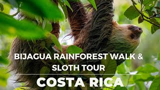 Exploring the Bijagua Rainforest and Finding Sloths! (DAY TRIP FROM TAMARINDO) Costa Rica Giant Crocodiles Virgin Rainforests Sloths