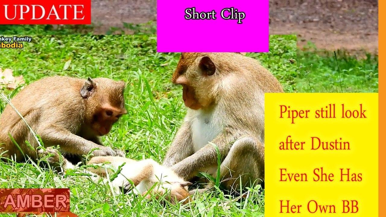 Short Clip: Piper & Nanda Both Pregnant, Still Take Care of Dustin