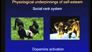 Celebrity Self-Compassion for Caregivers: Preventing Burnout Kristin Neff Ph.D. (Full Speech) Wealth