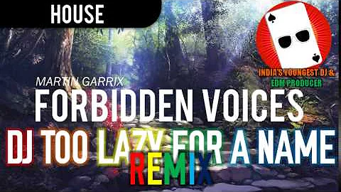 Martin Garrix - Forbidden Voices (DJ TooLazyForAName Remix)