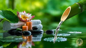 Sleeping Music for Deep Sleep 🌿 Relaxing Piano Music, Nature Sound, Meditation Music Relax Mind Body