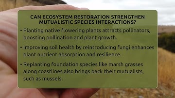 Can Ecosystem Restoration Strengthen Mutualistic Species Interactions? - Earth Science Answers