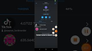 Connect testnet wallet to Satoshi App screenshot 2