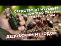 Муравьи уничтожают ваш огород? Вот что нужно делать! Лучшие способы борьбы! Как избавиться,быстро.