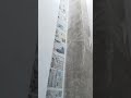 Italian marble wall TV top thalapathy viral video #lifeisbutadream
