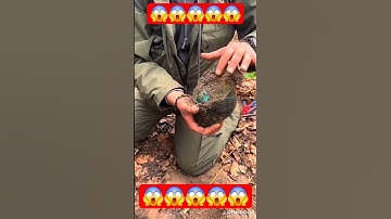 rare metal detecting  finds #shortsfeed #shorts #coins