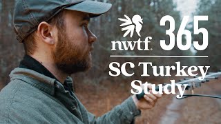 NWTF 365 : Studying Unhunted Turkeys in South Carolina