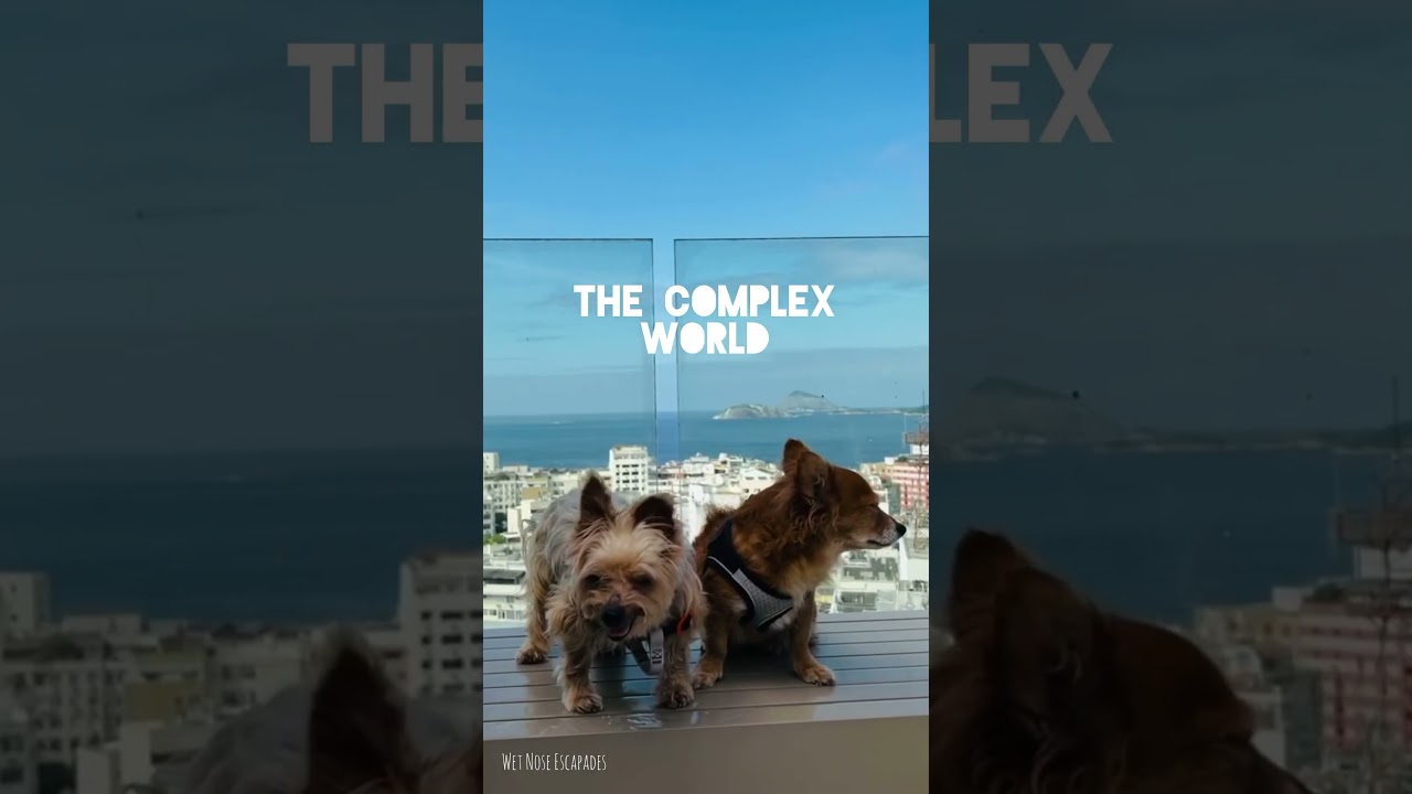 Can A Puppy Leave Its Mother At 7 Weeks