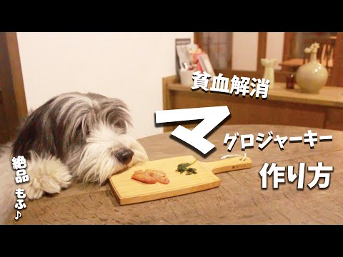 犬おやつ手作りレシピ｜手作りマグロジャーキーの作り方【もふ飯】
