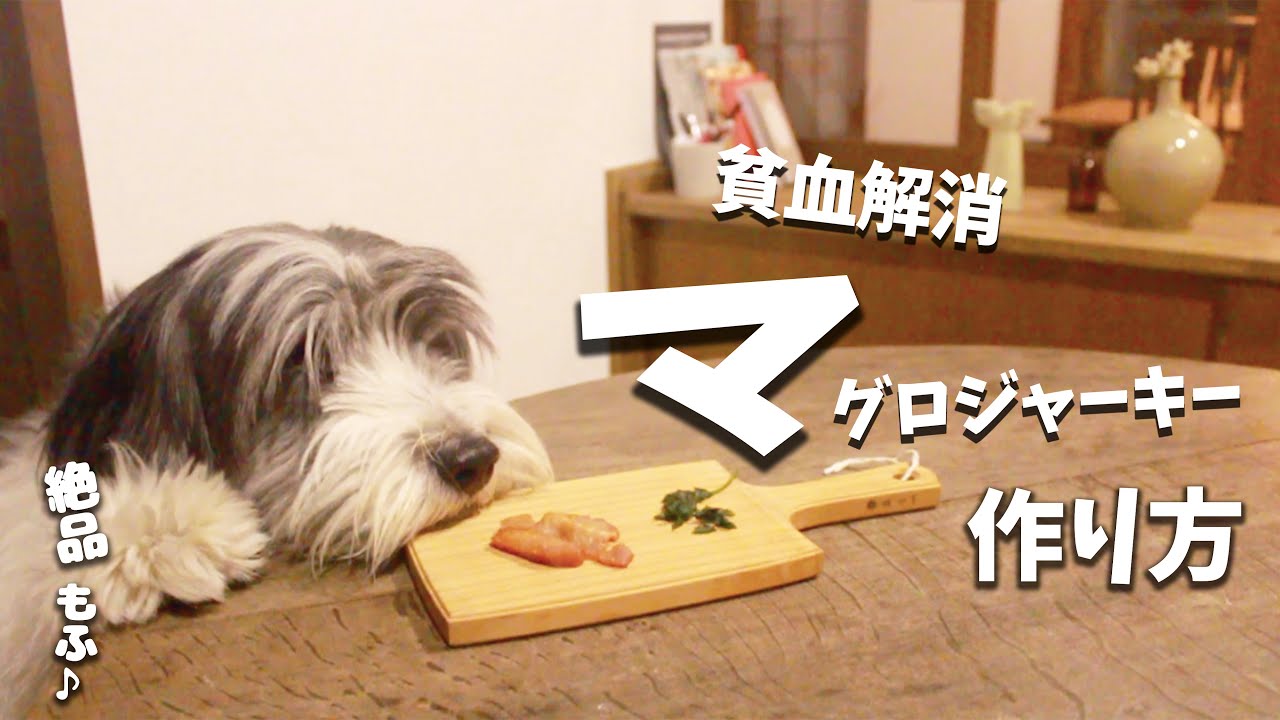 犬おやつ手作りレシピ 手作りマグロジャーキーの作り方 もふ飯 Youtube