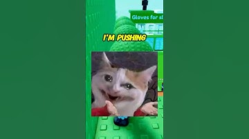 If I was the YouTube Algorithm 🎥