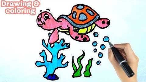 Vẽ con Rùa đang bơi | How to draw a cute Turtle | Vẽ | Draw cute toy.