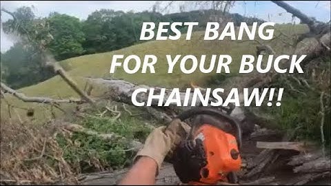 Echo CS-4910 Chainsaw Cutting Firewood A Review After 3 Years