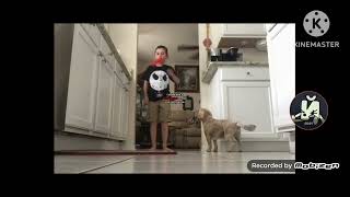 Furby Furb Goes Wrong