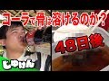【閲覧注意】コーラに骨や歯を1ヶ月半漬けてみたらヤバい結果に【検証】【自由研究】