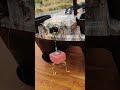 How To Place Fish Hooks Using A Bait Boat Fishing Baitboat Boatman Carpfishing Fishingvideo How To Place Fish Hooks Using A Bait Boat Fishing Baitboat Boatman Carpfishing Fishingvideo