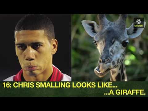 ცხოველებს მიმსგავსებული ცხოველები