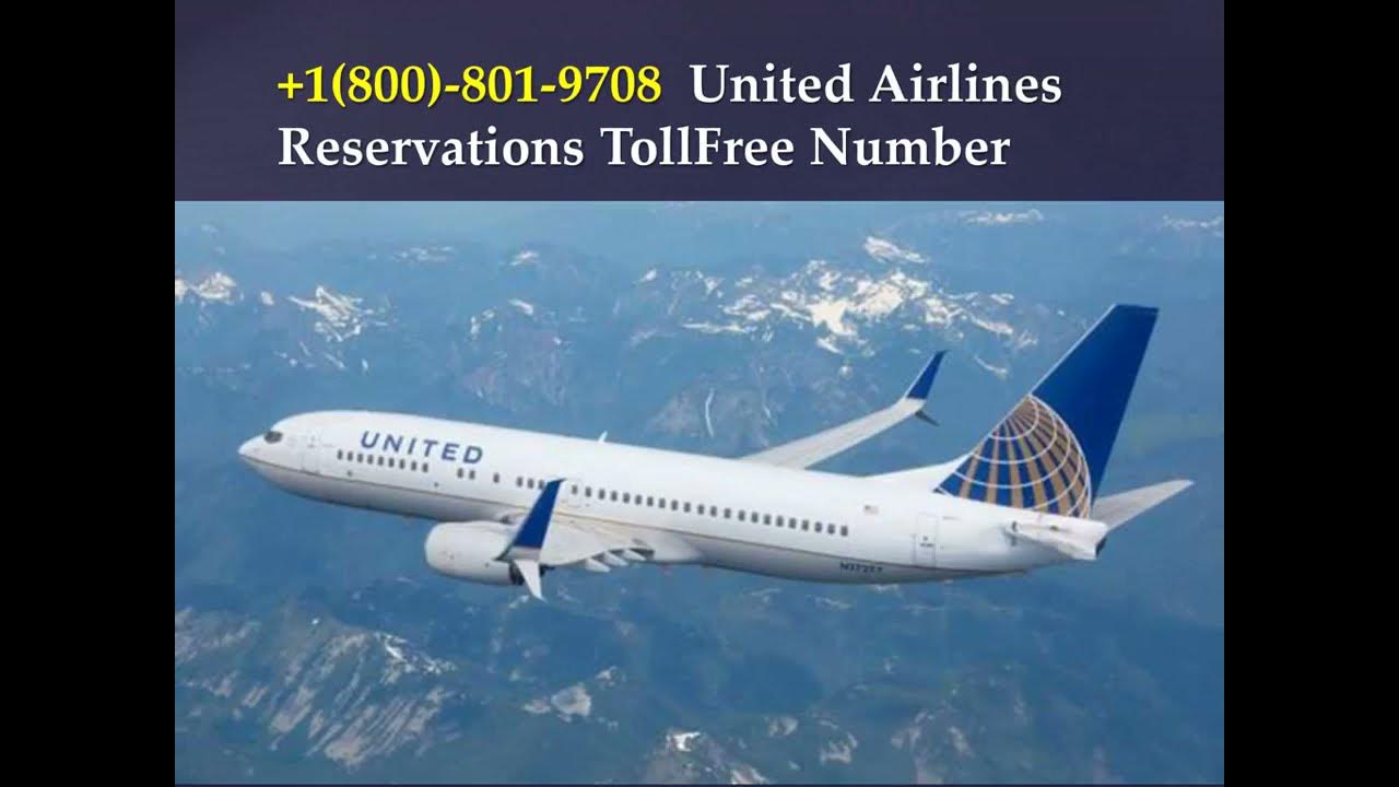 United Airlines Toll Free Number United airlines phone number YouTube