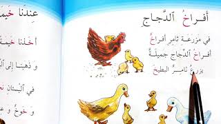 افراخ الدجاج قراءه الصف الاول ابتدائي العراق🇮🇶💙🌺 افراخ الدجاج قراءه الصف الاول ابتدائي العراق
