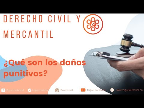 Video: ¿Quién financia los daños punitivos?