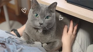 여집사남집사 모두에게 공평한 사랑둥이