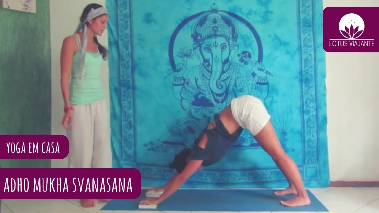 Best Image Parivrtta Adho Mukha Svanasana Yoga Best Image Parivrtta Adho Mukha Svanasana Yoga