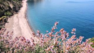 Παραλίες των Κυθήρων-Beaches of Kythera