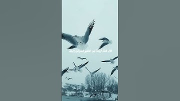 قران كريم بصوت القارئ عبد الرحمن مسعد #قران_كريم#راحة_نفسيه#عبدالرحمن_مسعد