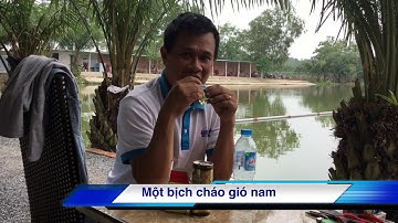 Chia sẻ mồi cháo Yến câu cá tra - thegioicauca.com