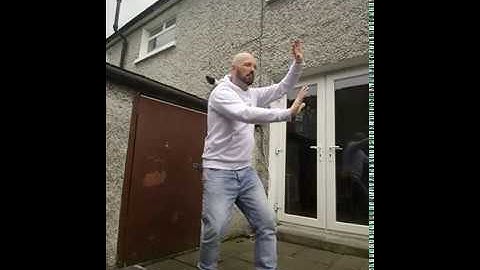 Baguazhang Jiben gong fa (static and moving striking postures)