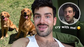 life updates, having a mental breakdown &amp; reuniting the puppies!