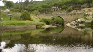 EL HOYO DE PINARES 5