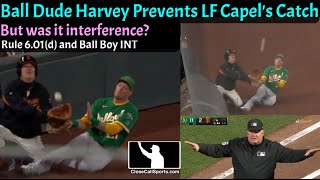 Giants Ball Dude Harvey Prevents A's LF Capel's Sliding Catch - Was it Interference