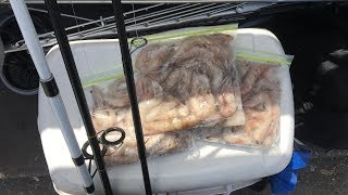 FROZEN SHRIMP FISHING