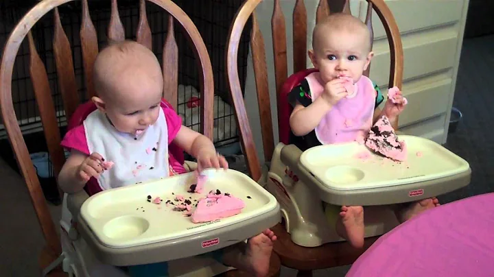 Paisley and Callie's First Birthday Party