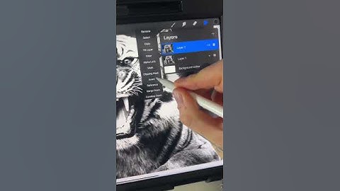 Any image to stencil, procreate tattoo quick tip