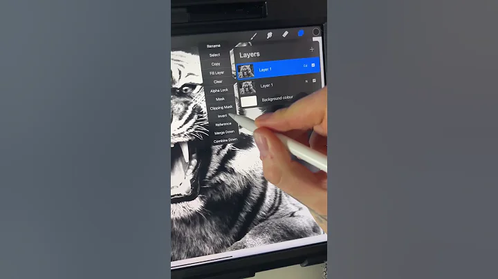 Any image to stencil, procreate tattoo quick tip