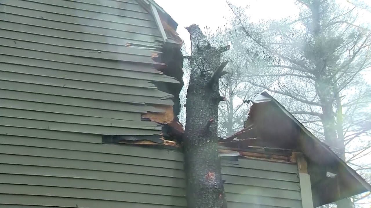 Cleanup efforts continue after storm downs trees, power lines - YouTube