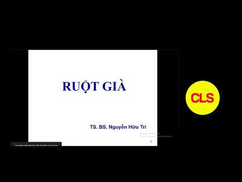 GIẢI PHẪU RUỘT GIÀ | TS. BS. Nguyễn Hữu Trí