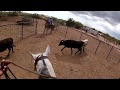 Apaches at Rodeovideo Ranch
