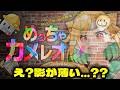 🔴【 #めっちゃカメレオン 】誰が影薄いから見つからないじゃコラ【 #VTuber 】