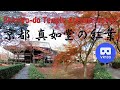 VR180 京都 真如堂 の紅葉[境内] Japan KYOTO Shin-nyo-do Temple Autumn leaves season