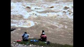 Un Muymuy en el rio mantaro