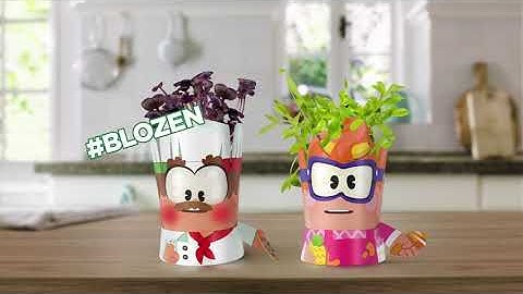 PLUS - Kruiden Sjeffies - Blozen geblazen