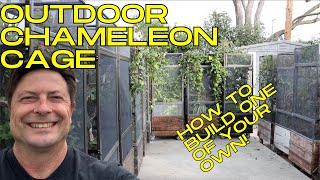 Build an outdoor chameleon cage on wheels!