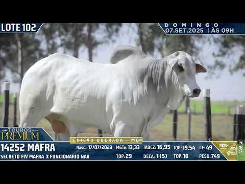 LOTE 102