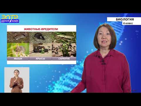 6-класс | Биология | Многообразие живых организмов.  Жизнь растений в природе